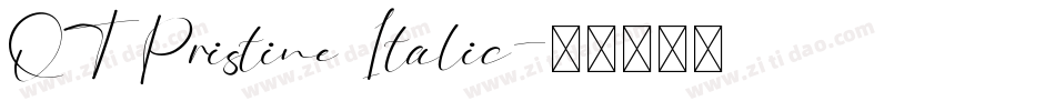 QTPristine Italic字体转换